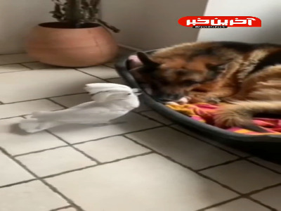 مصداق بارز کمال همنشین در من اثر کرد!