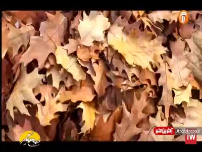 کلیپ «پاییز» با صدای فرهاد جواهری