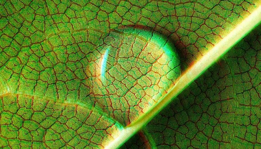 دانشمندان مدعی کشف «ترکیب تشکیل‌دهنده حیات» شدند