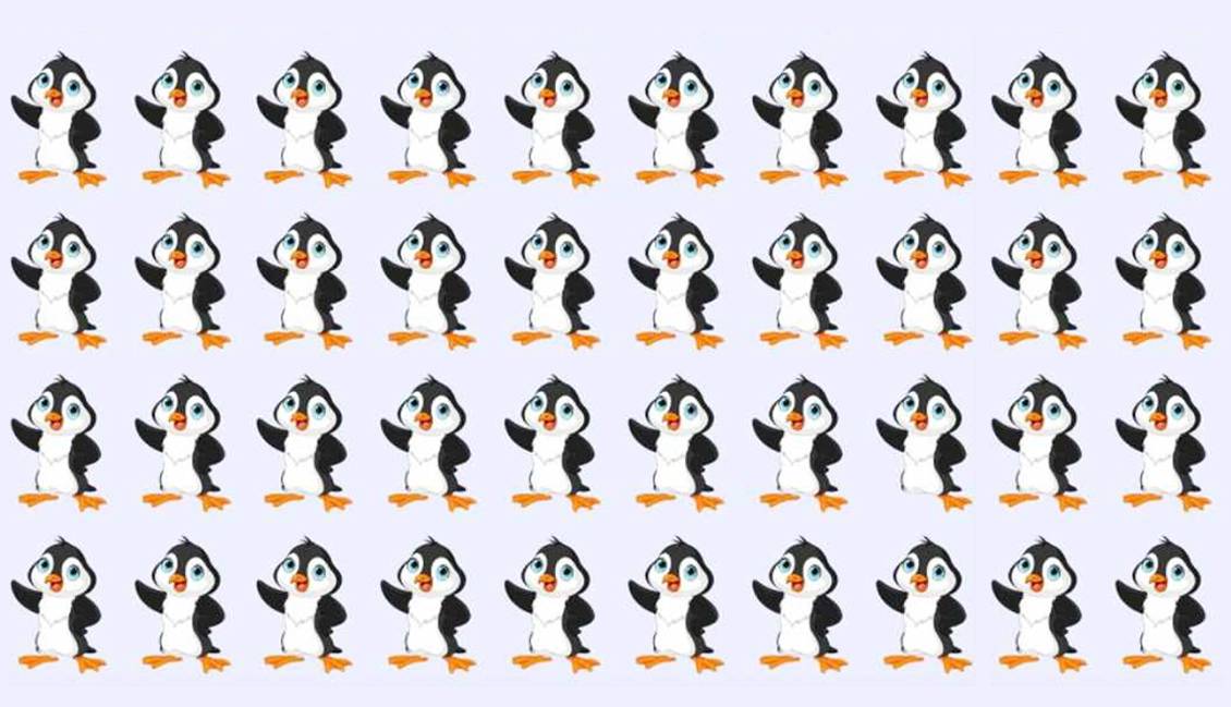 گوناگون/ تست بینایی؛ زیر 10 ثانیه پنگوئن متفاوت را پیدا کنید؟