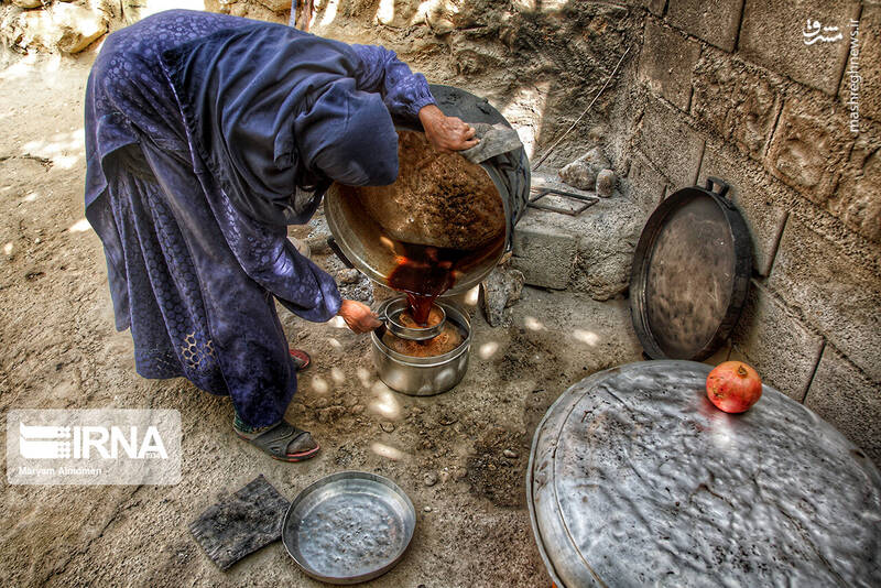 عکس/ برداشت انار در روستای دوپلان