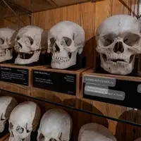 4گوشه دنیا/ موزه‌های بریتانیا جمجمه‌های مردم زیمبابوه را تحویل داد!