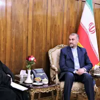 گزارش سفیر ایران در برونئی به امیرعبداللهیان