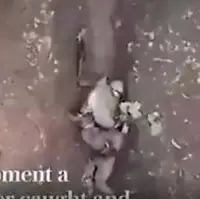 فیلم لحظه نجات نظامی روس از حمله پهپادهای اوکراینی