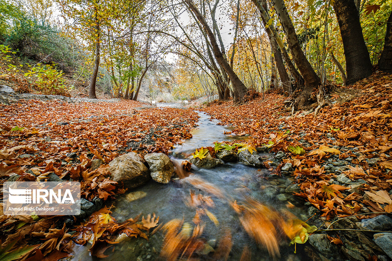 طبیعت پاییزی شهر سامان