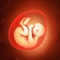 «استرداد» فرزند حاصل اهدای جنین؛ ممنوع!