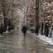 بارش برف و باران در البرز