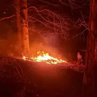آتش‌سوزی مناطق جنگلی یکی از ییلاقات شهرستان املش