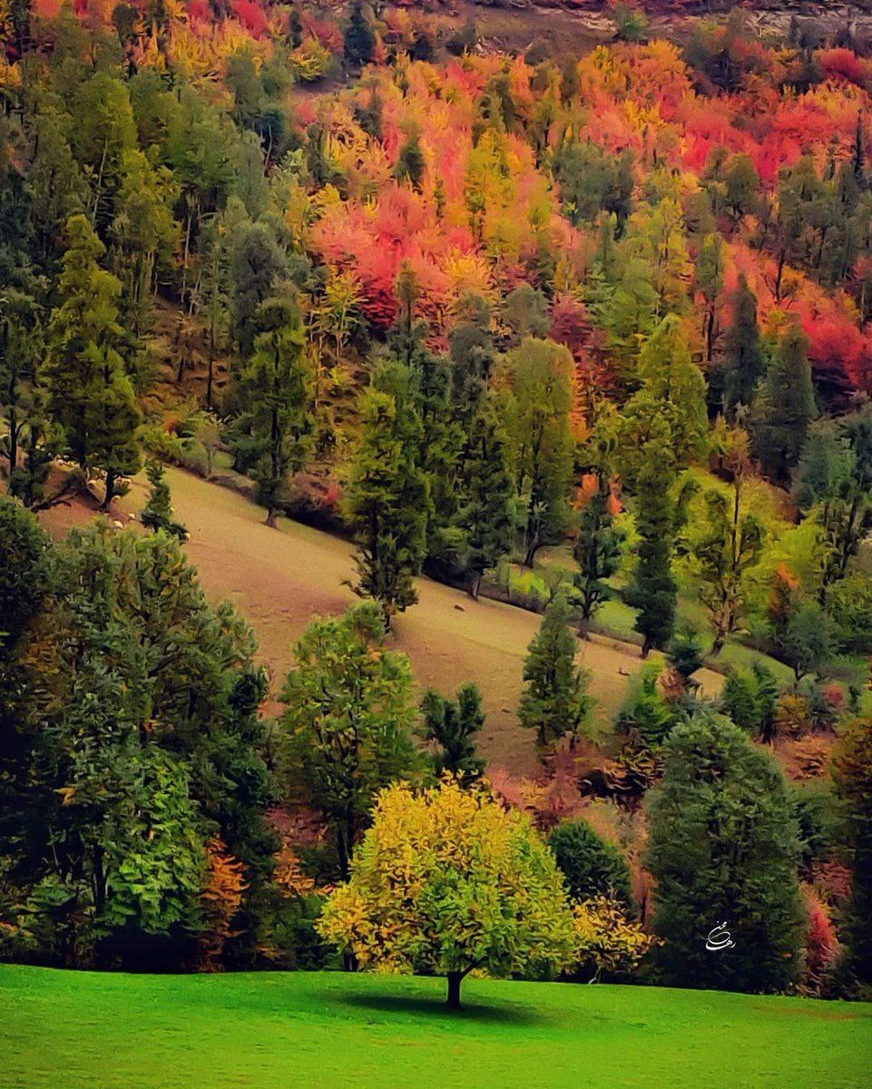 طبیعت هفت رنگ گیلان در پاییز