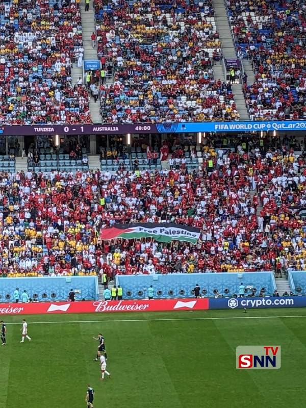 برافراشتن پرچم فلسطین دربازی تونس مقابل استرالیا