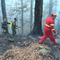 آتش‌سوزی در جنگل‌های عباس‌آباد مهار شد