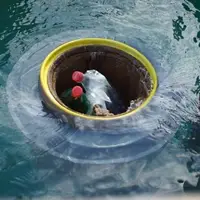 جمع آوری زباله های دریایی به کمک سطل هوشمند شناور