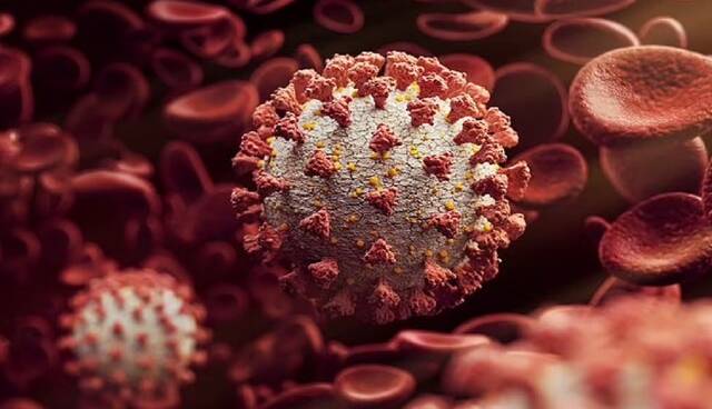 زنگ خطر شیوع یک ویروس جدید مشابه کروناویروس