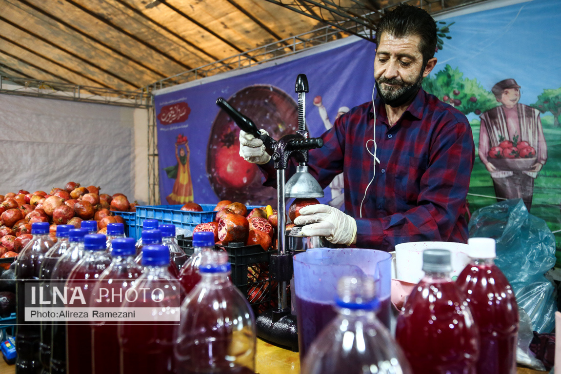 جشنواره «صد دانه یاقوت» در تهران 