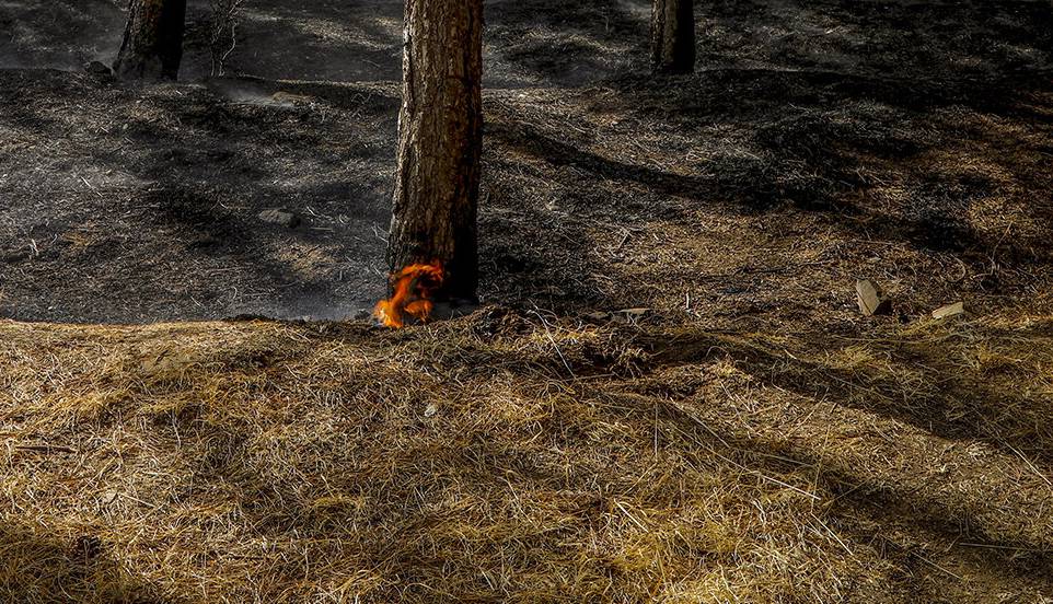 آتش‌سوزی‌ اراضی جنگلهای رودبار گیلان کامل مهار شد