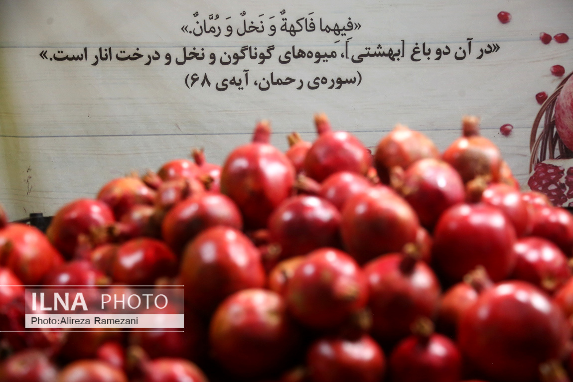 جشنواره «صد دانه یاقوت» در تهران 
