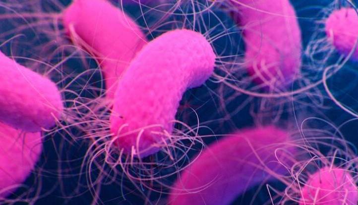 باکتری های مقاوم در برابر آنتی بیوتیک، فعال تر از تصورات ما هستند