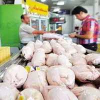 کاهش قیمت مرغ در بازار مازندران