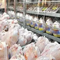 توزیع ۱۴۴ تن گوشت مرغ در مناطق کم‌برخوردار استان البرز 