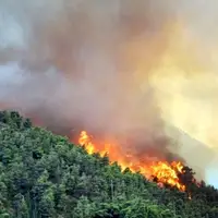آتش‌سوزی جنگل‌های هیرکانی باعث خروج آن از فهرست جهانی یونسکو می‌شود؟