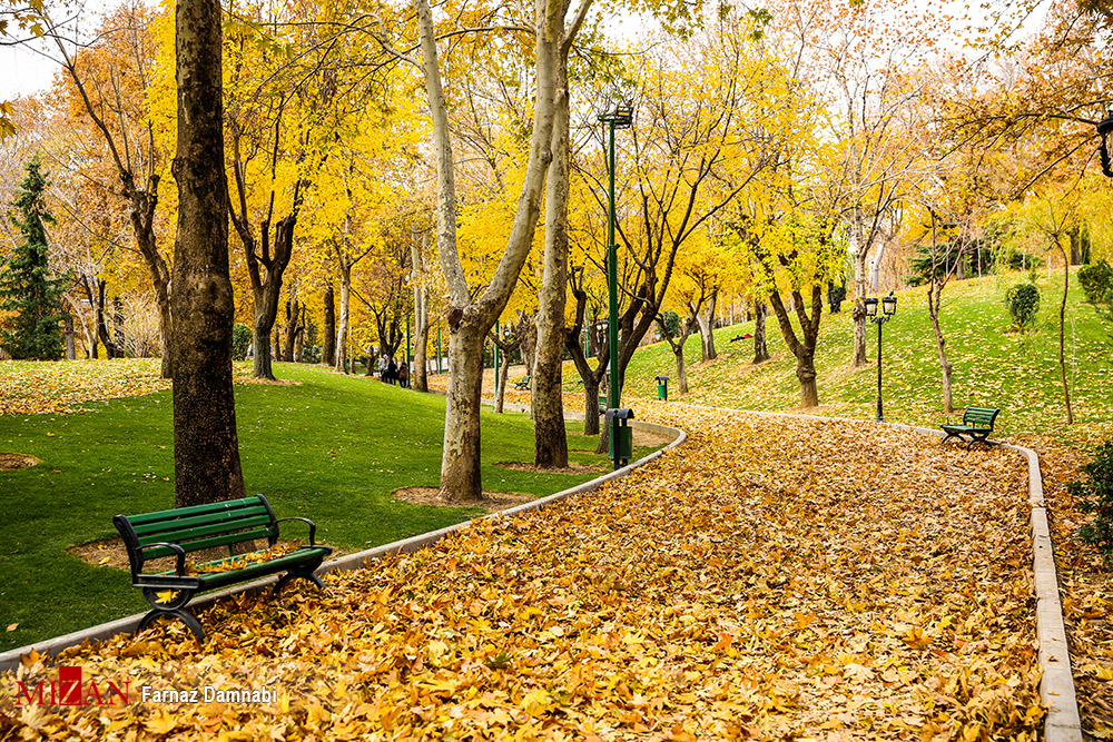 عکس/ پاییز هفت رنگ در تهران