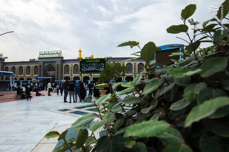 عکس/ کتیبه‌های ولادت حضرت زینب(س) زینت بخش کربلا