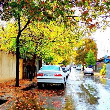 بارش باران در پایتخت