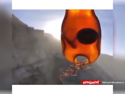 جنین کوسه دیده بودید؟!