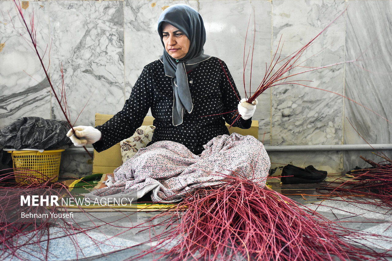 طلای سرخ استان مرکزی
