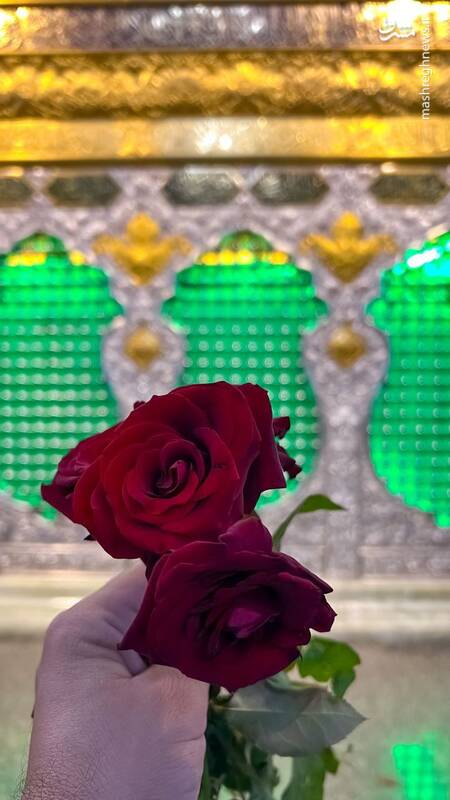 عکس/ گلباران ضریح حضرت عباس(ع) در روز ولادت خواهرشان