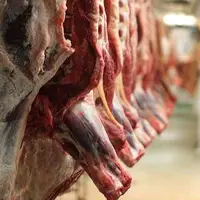 قیمت روز گوشت قرمز در بازار 