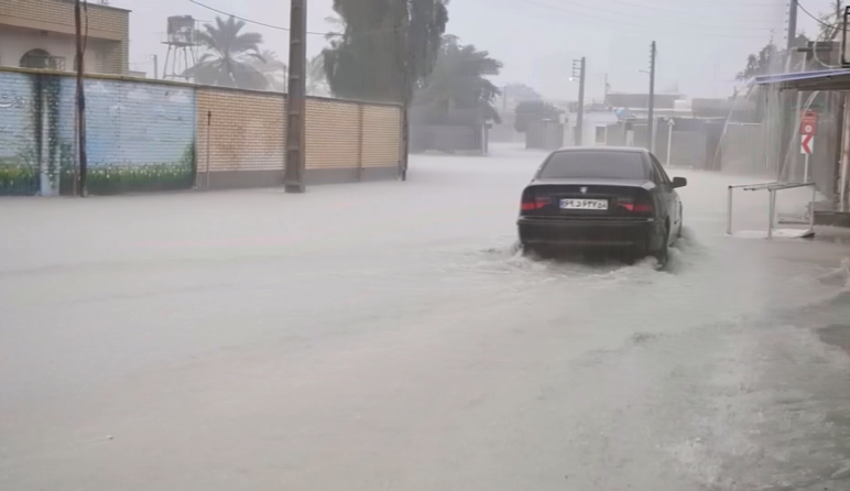 هشدار سطح زرد هواشناسی درباره بارندگی در بوشهر