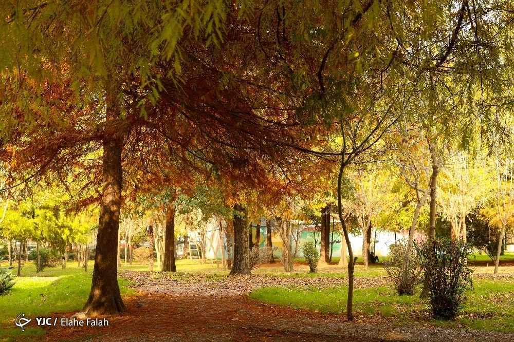 رنگ آمیزی طبیعت پاییزی در شهر باران