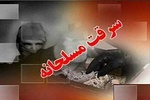 انهدام سه باند سرقت مسلحانه در سیستان و بلوچستان