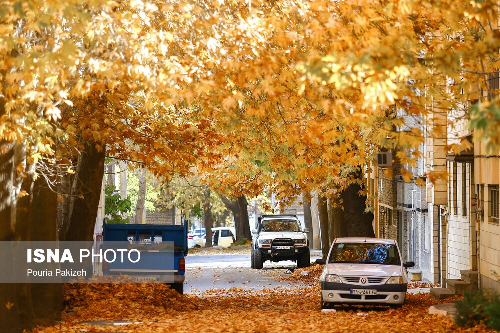 کوچه‌های پاییزی «شهرک مدرس» همدان