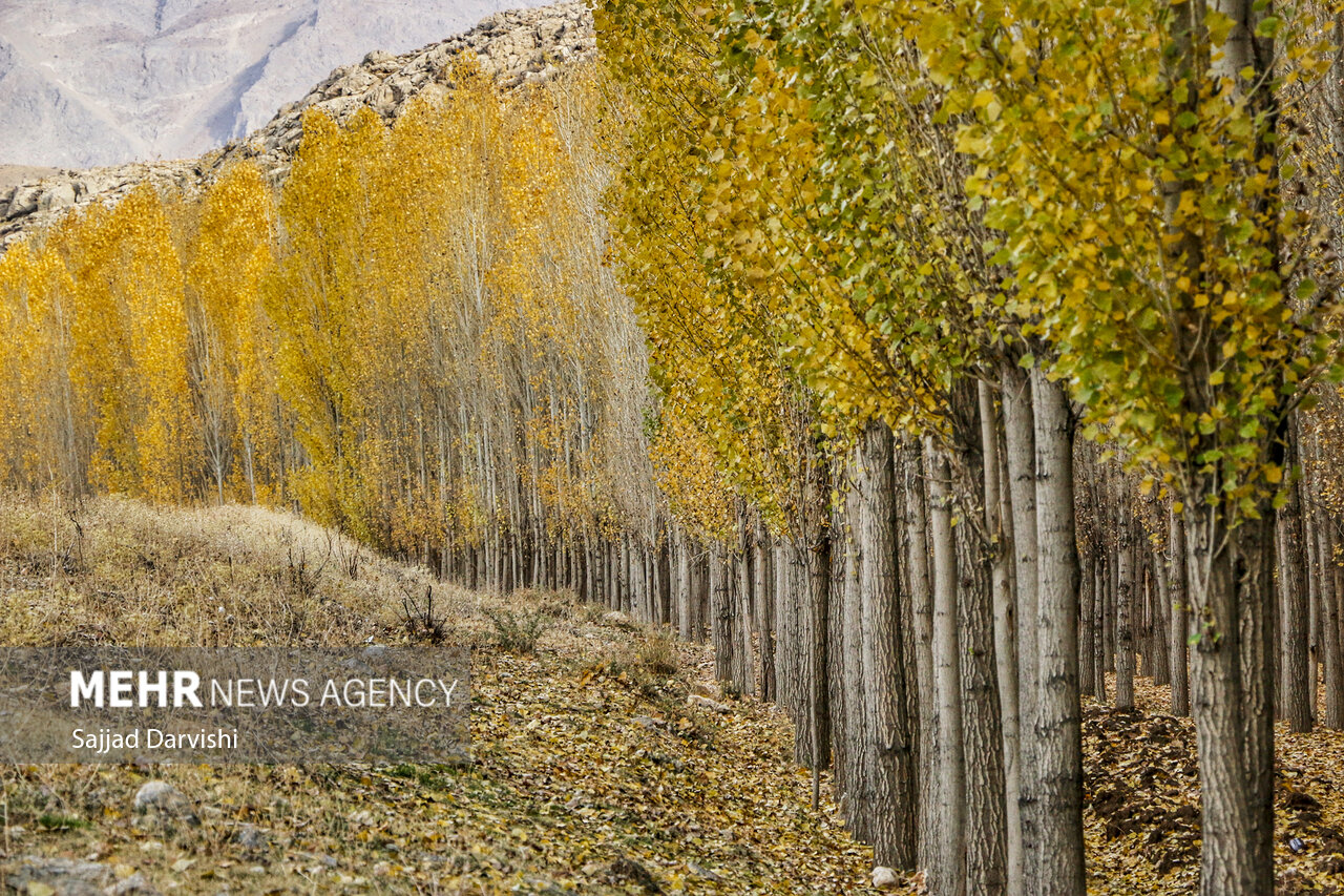 طبیعت زیبای پاییزی لرستان