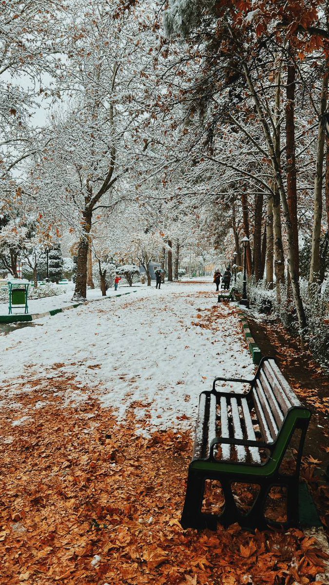 تلاقی پاییز و زمستان در مشهد