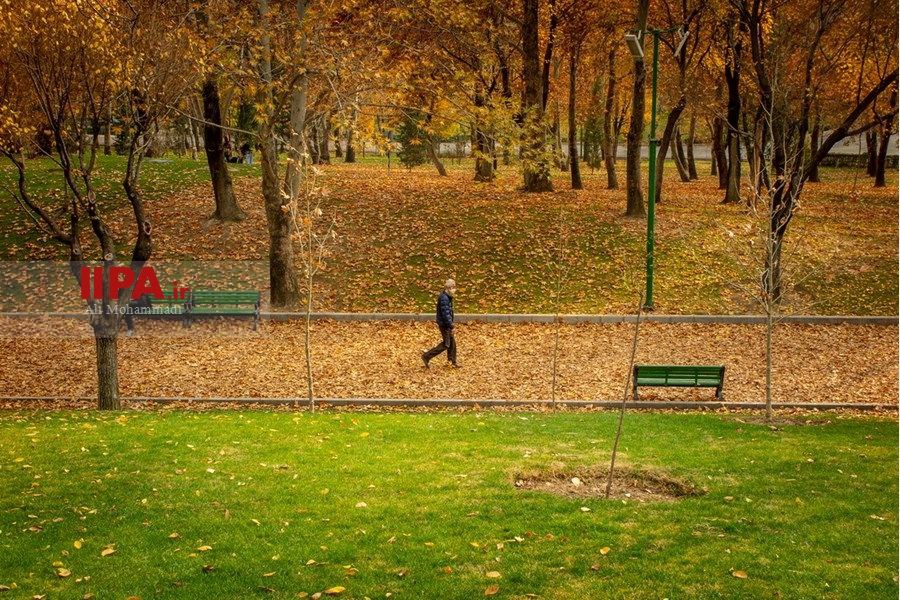 پرسه در فصل هزار رنگ پاییز