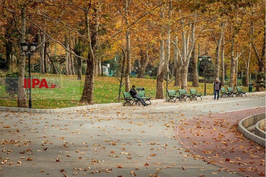 پرسه در فصل هزار رنگ پاییز