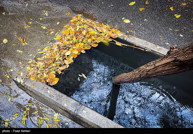 تصاویری زیبا از روز بارانی تهران