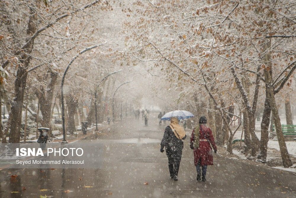 عکس/ بارش اولین برف پاییزی در مشهد