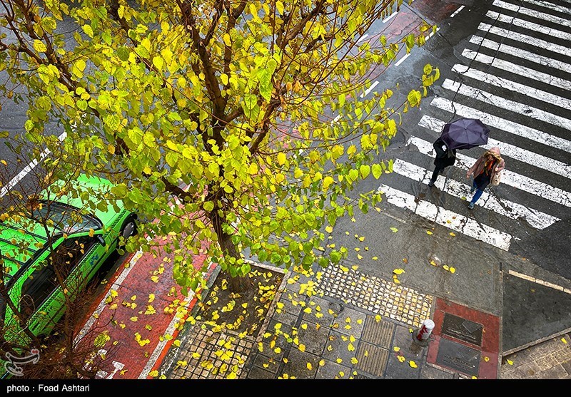 تصاویری زیبا از روز بارانی تهران