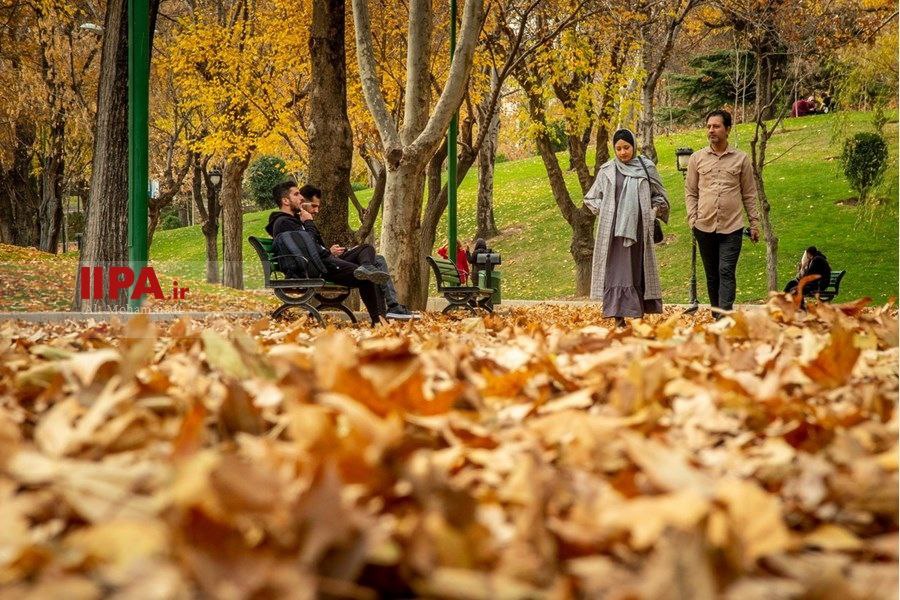 پرسه در فصل هزار رنگ پاییز