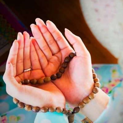 حکمت/ چه عملی محبوب‌تر از هزار رکعت نماز است؟
