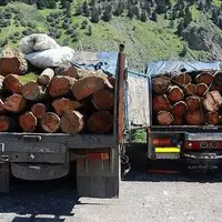 کشف ۶ محموله قاچاق چوب و زغال در شهرستان باشت
