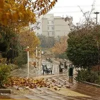 پاییز برفی پایتخت در قاب تصویر