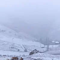 عکس/ تداوم بارش برف در مناطق کوهستانی گیلان
