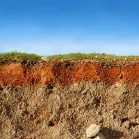 همایش روز جهانی خاک در سیراف برگزار شد