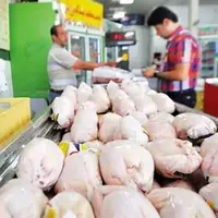 عرضه مرغ ۱۰ تا ۱۳ هزار تومان کمتر از نرخ مصوب