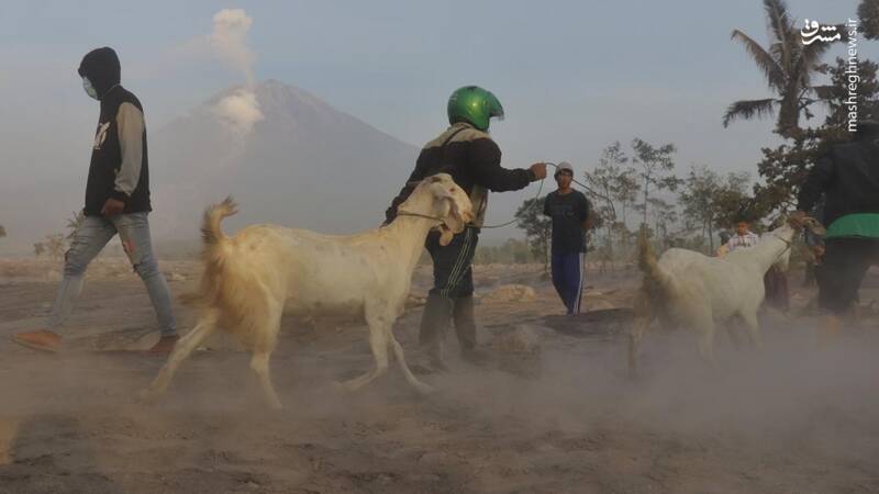 عکس/ تخلیه ۲هزار خانه درپی فوران آتشفشان در اندونزی